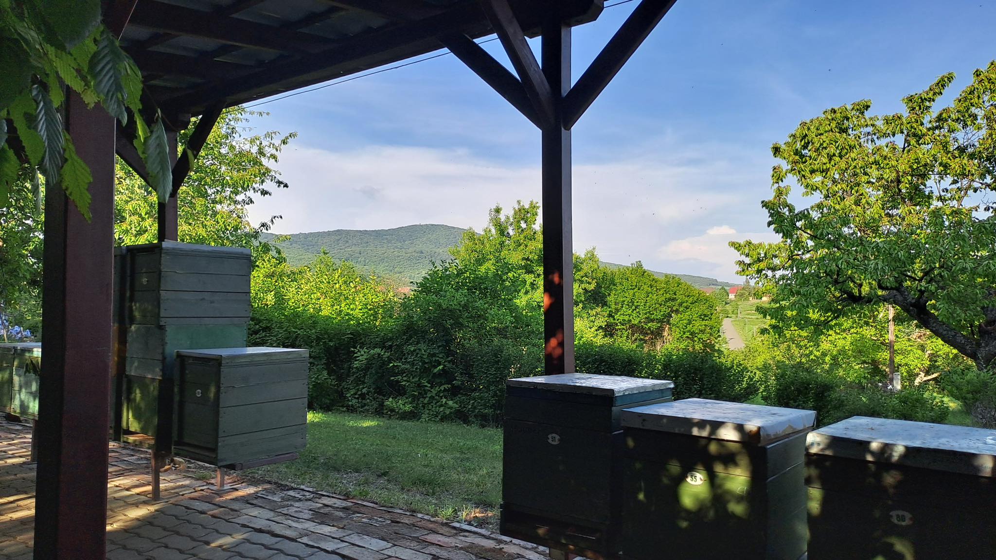 Greenhill Garden and Apiary in Hosszúhetény