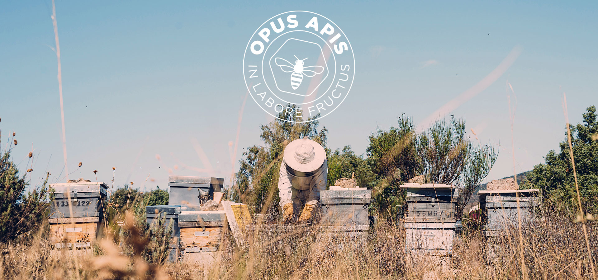 Opus Apis – In labore fructum