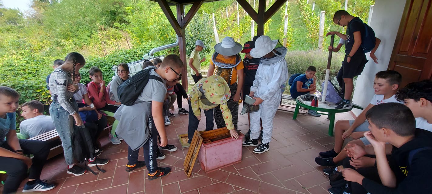 Educational/Demonstration Garden, Agricultural High School Zeyk Domokos