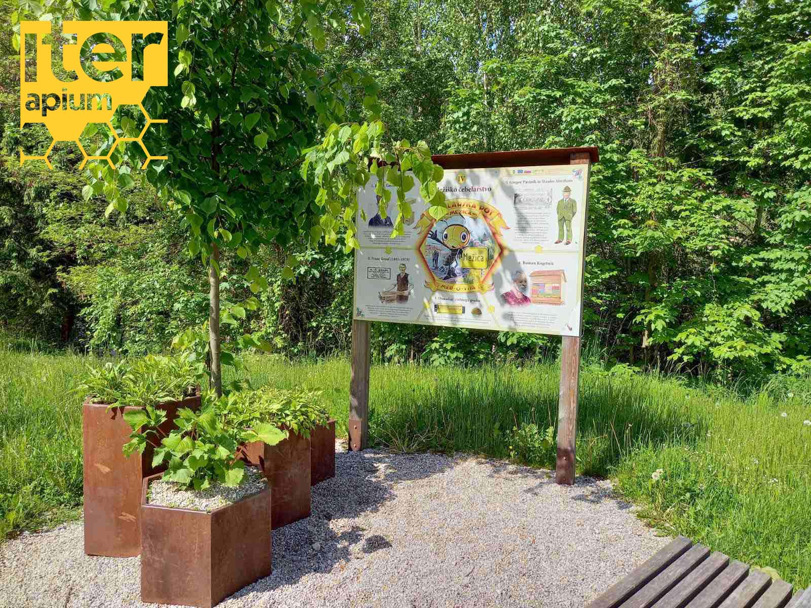 Bee Walk through Mežica