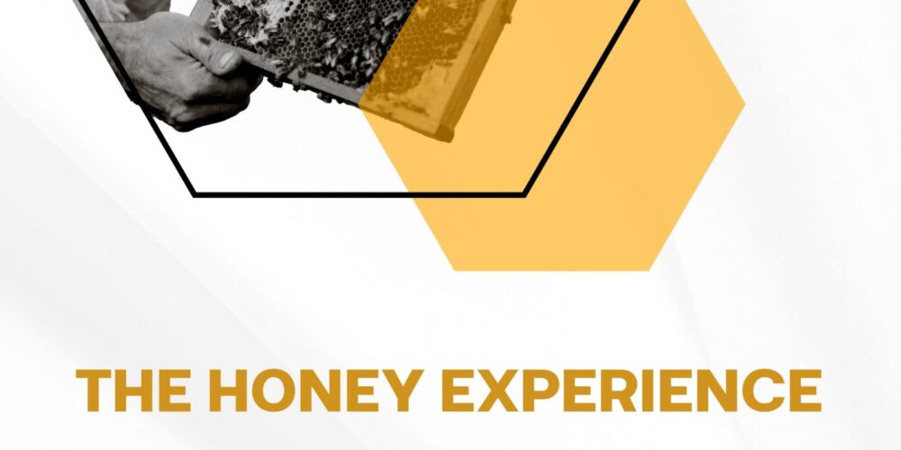 🐝 – ENFORCE Training Book – Impara. Vivi l’esperienza. Trasforma.